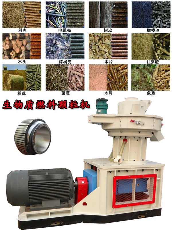 國內(nèi)外生物質(zhì)燃料顆粒機(jī)應(yīng)用現(xiàn)狀的疑問！