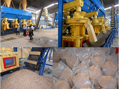 一個案例接著一個案例代表生物質燃料顆粒機鋒芒畢露